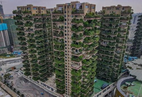 宜章网红小区有哪些,探寻热门居住地风采