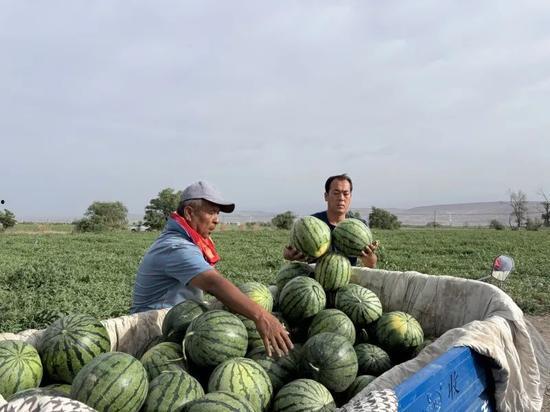 全国吃瓜大队录屏,揭秘网络热点背后的真实故事