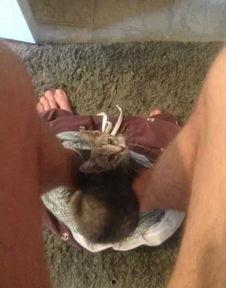 断手吃屎吃虫的网红,挑战极限的生存传奇