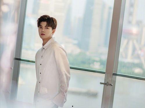 任嘉伦爆料机器人视频大全,机器人视频大全背后的科技魅力