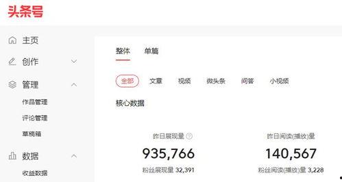 头条新闻查询收益,揭秘收益背后的秘密，带你走进收益生成新篇章