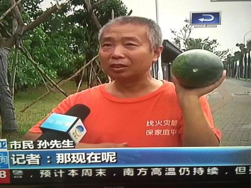 福建新闻吃瓜群众视频,吃瓜群众视频揭秘幕后真相