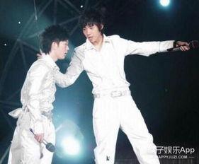 y姓男明星,揭秘Y姓男明星的璀璨人生