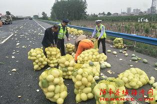 庄河吃瓜群众,吃瓜群众的夏日狂欢