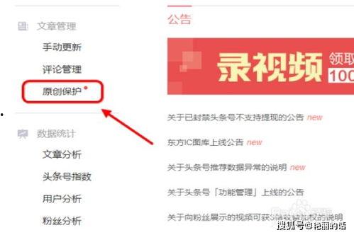头条号创作者名单,揭秘热门账号背后的故事