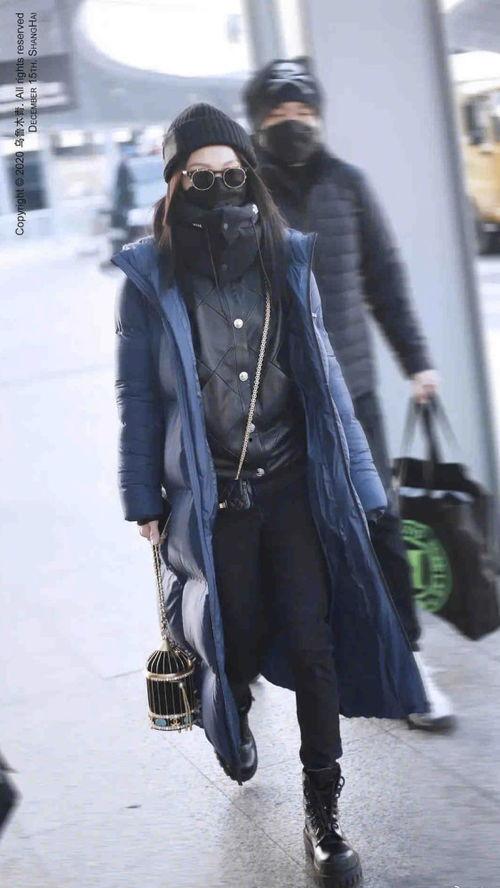 明星穿貂皮大衣图片,貂皮大衣演绎高端时尚风采