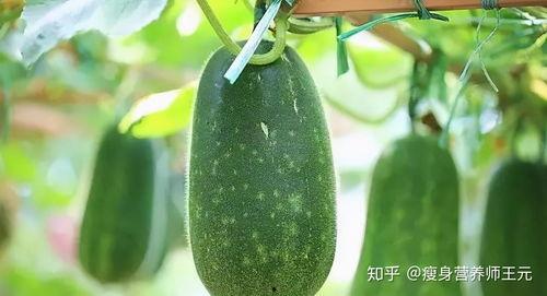 小瓜怎么吃热量最低,轻松享瘦的秘密