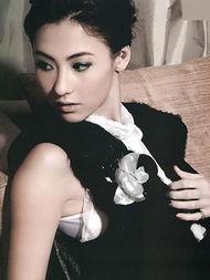 张柏芝座明星,从影坛女神到家庭支柱，她的人生传奇