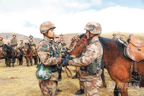 在线骑兵观看区,探索虚拟战场上的英勇征程