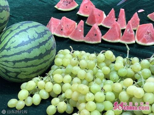 山东吃瓜搞笑,一场舌尖上的欢乐盛宴