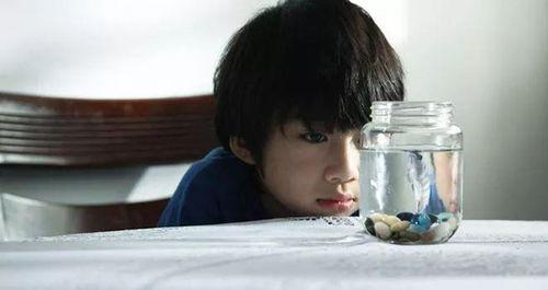 明星孩子孤独症,明星孩子与孤独症的故事