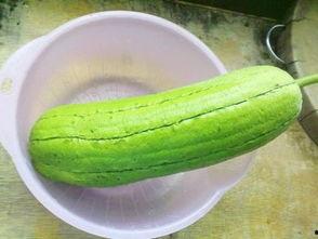 水瓜丝瓜吃哪种好