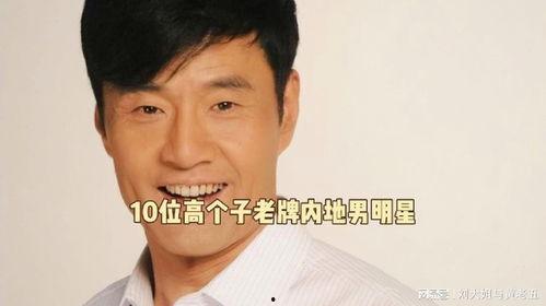 老一代男明星,老一代男明星的辉煌岁月与永恒魅力
