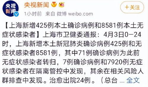 上海做核算明星,引领行业新潮流的核算精英风采