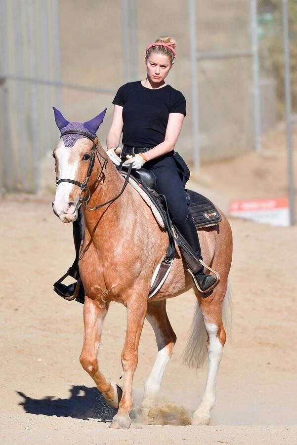 女明星红衣骑马,女明星骑马风采独领风骚