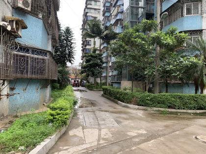 韶关金沙小区新闻头条,紧急救援行动展开