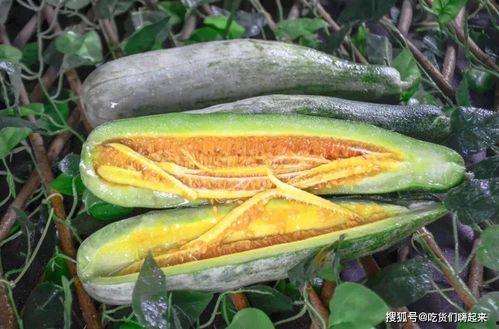 伦敦网红吃瓜视频,网红带你探秘伦敦美食风云