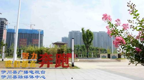 伊川网红打卡地点有哪些,探寻这座古城的时尚印记