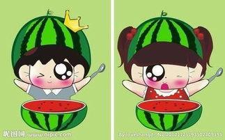 怎样吃情侣的瓜,揭秘情侣们的甜蜜瓜分之道