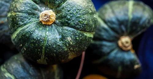 哪些瓜最值得吃,解暑又营养