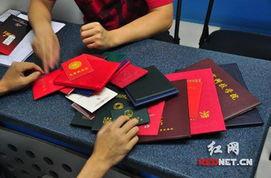 红网应聘,诚邀精英加入，共创美好未来