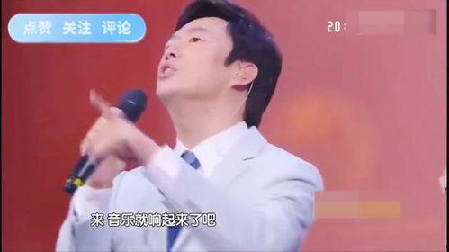 能让明星模仿的歌曲,揭秘明星模仿的经典歌曲