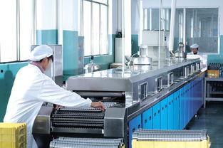 明星朱华燕,璀璨星途，闪耀舞台的璀璨明珠