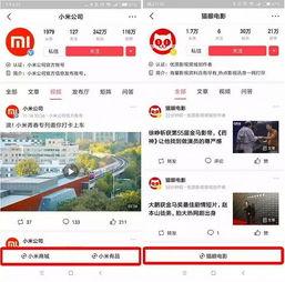 头条小程序如何截屏,如何使用头条小程序进行截屏并生成概述文章副标题