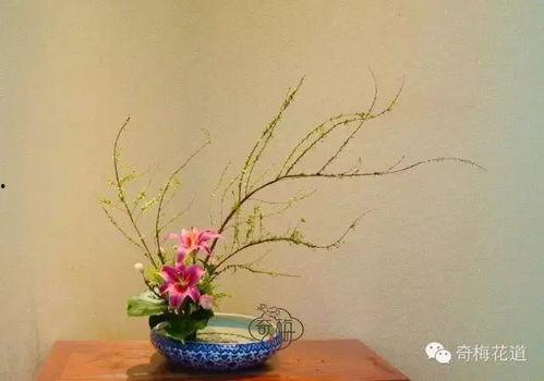 网红插花花枝条,打造家居艺术新风尚