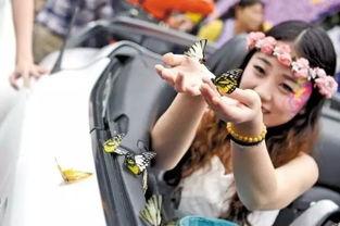 放飞蝴蝶的明星,放飞蝴蝶的明星风采