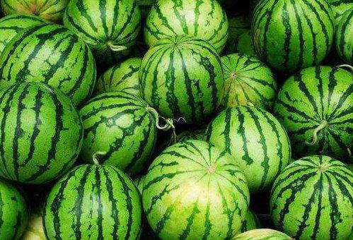 发烧可以吃大瓜吗,大瓜真的能吃吗？揭秘发烧饮食误区