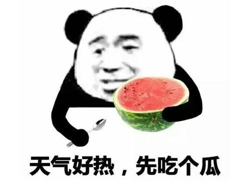 吃瓜的表情如何回复